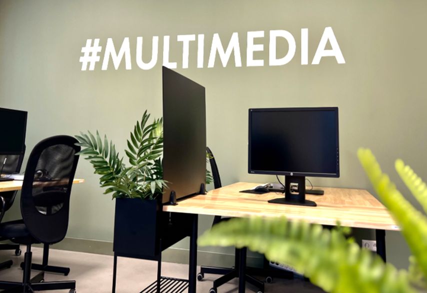 Multimediawerkruimte met meerdere beeldschermen, een plant en werkplekken.