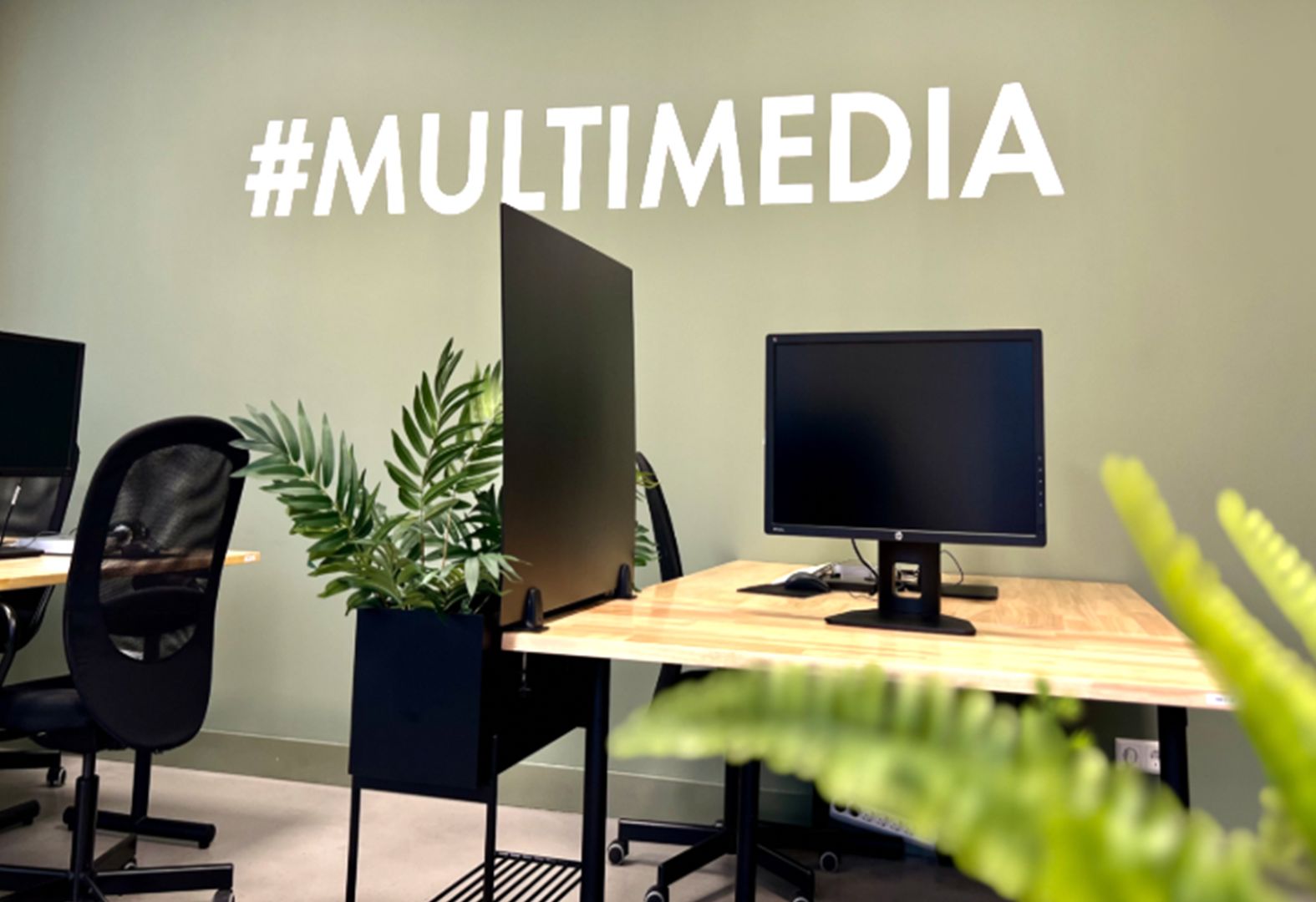 Multimediawerkruimte met meerdere beeldschermen, een plant en werkplekken.